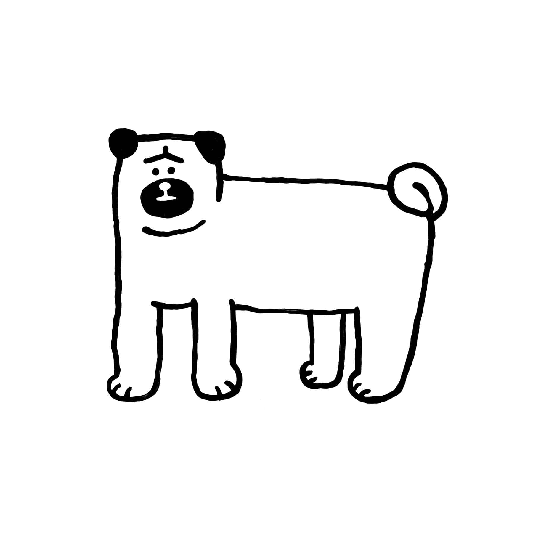 A DOG